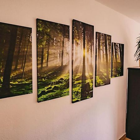 Franzis Feriendomizil Im Herzgebirge Am Skihang Auerbach  Bagian luar foto