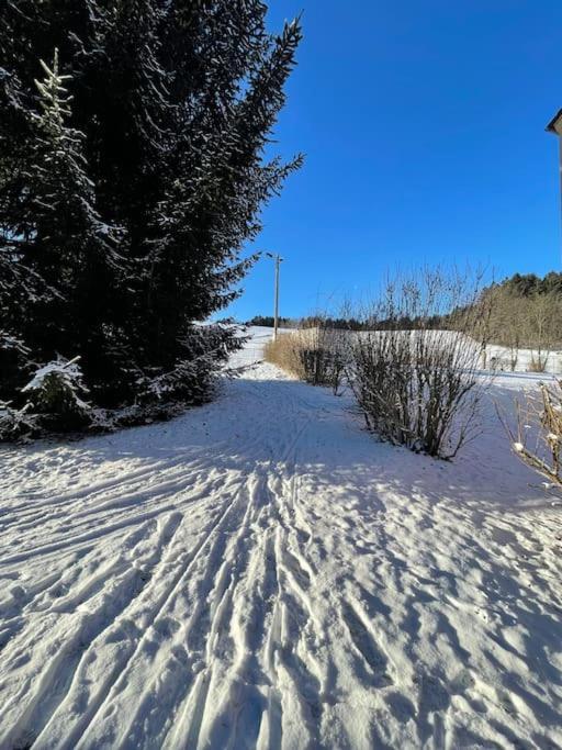 Franzis Feriendomizil Im Herzgebirge Am Skihang Auerbach  Bagian luar foto