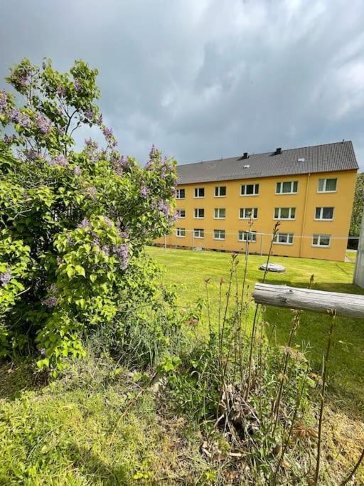 Franzis Feriendomizil Im Herzgebirge Am Skihang Auerbach  Bagian luar foto