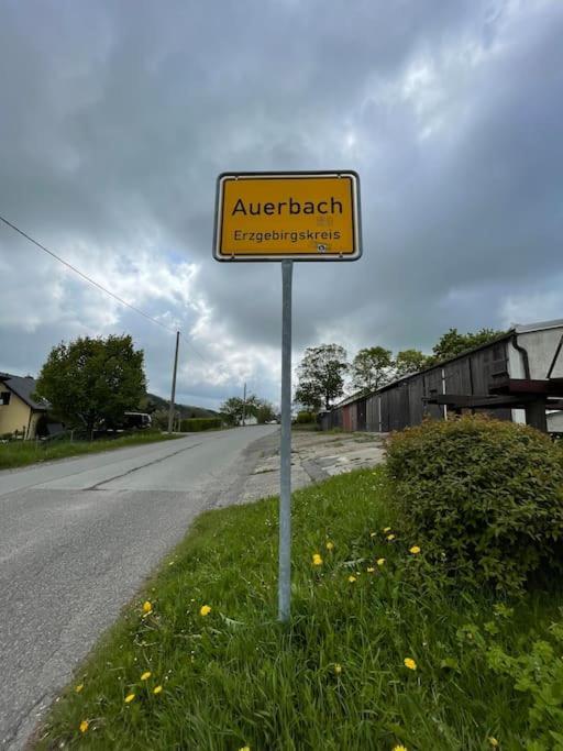 Franzis Feriendomizil Im Herzgebirge Am Skihang Auerbach  Bagian luar foto