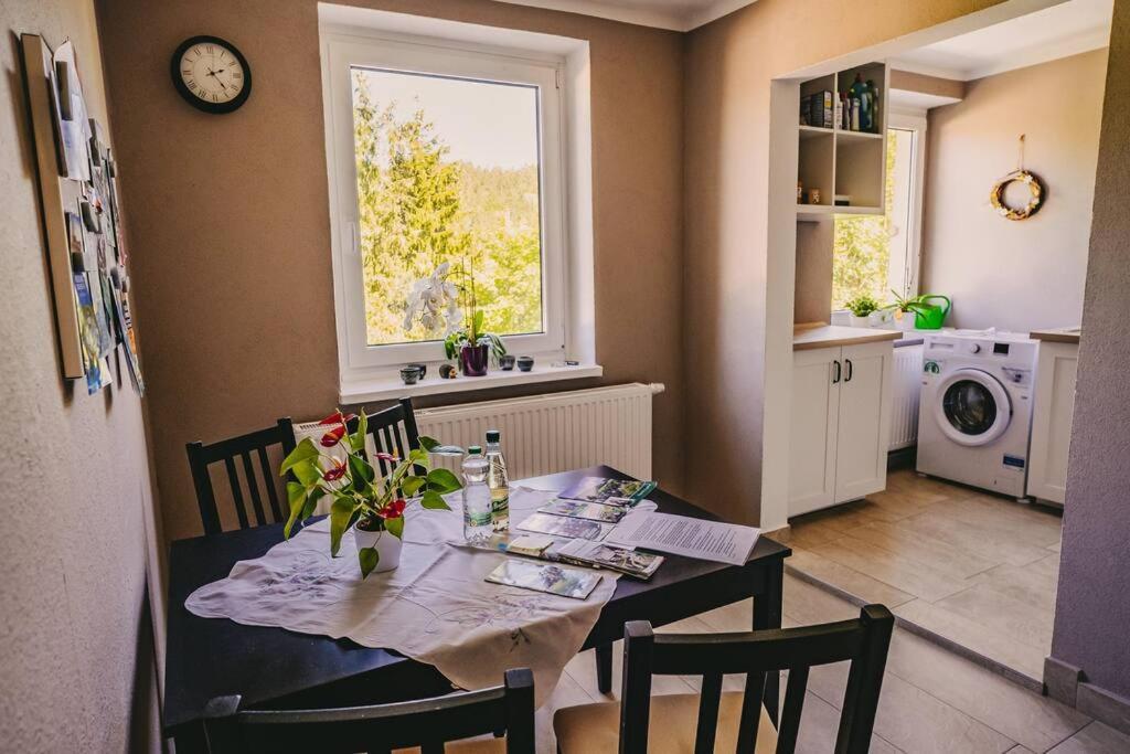 Franzis Feriendomizil Im Herzgebirge Am Skihang Auerbach  Bagian luar foto
